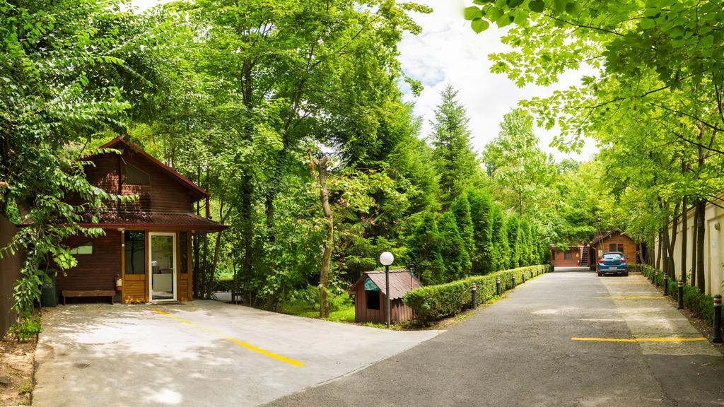 Pensiunea Casa Verde Bucuresti ภายนอก รูปภาพ