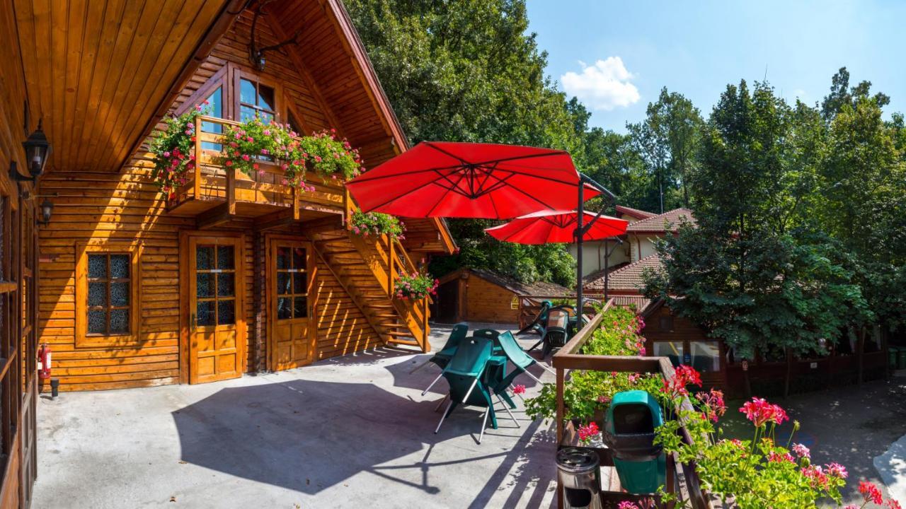 Pensiunea Casa Verde Bucuresti ภายนอก รูปภาพ