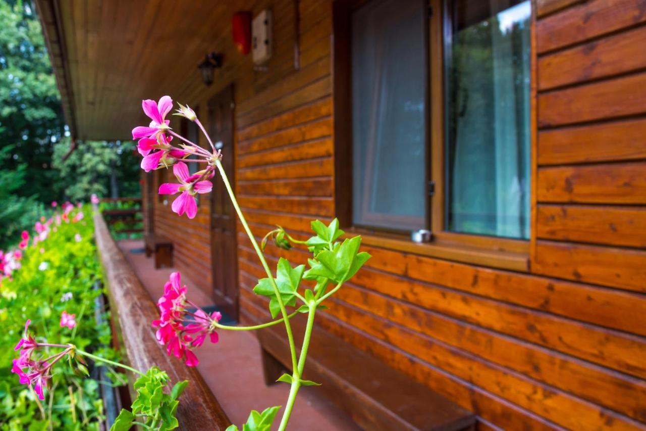 Pensiunea Casa Verde Bucuresti ภายนอก รูปภาพ
